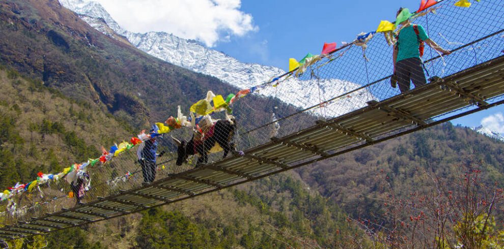 Suspension Bridge Everest Base Camp